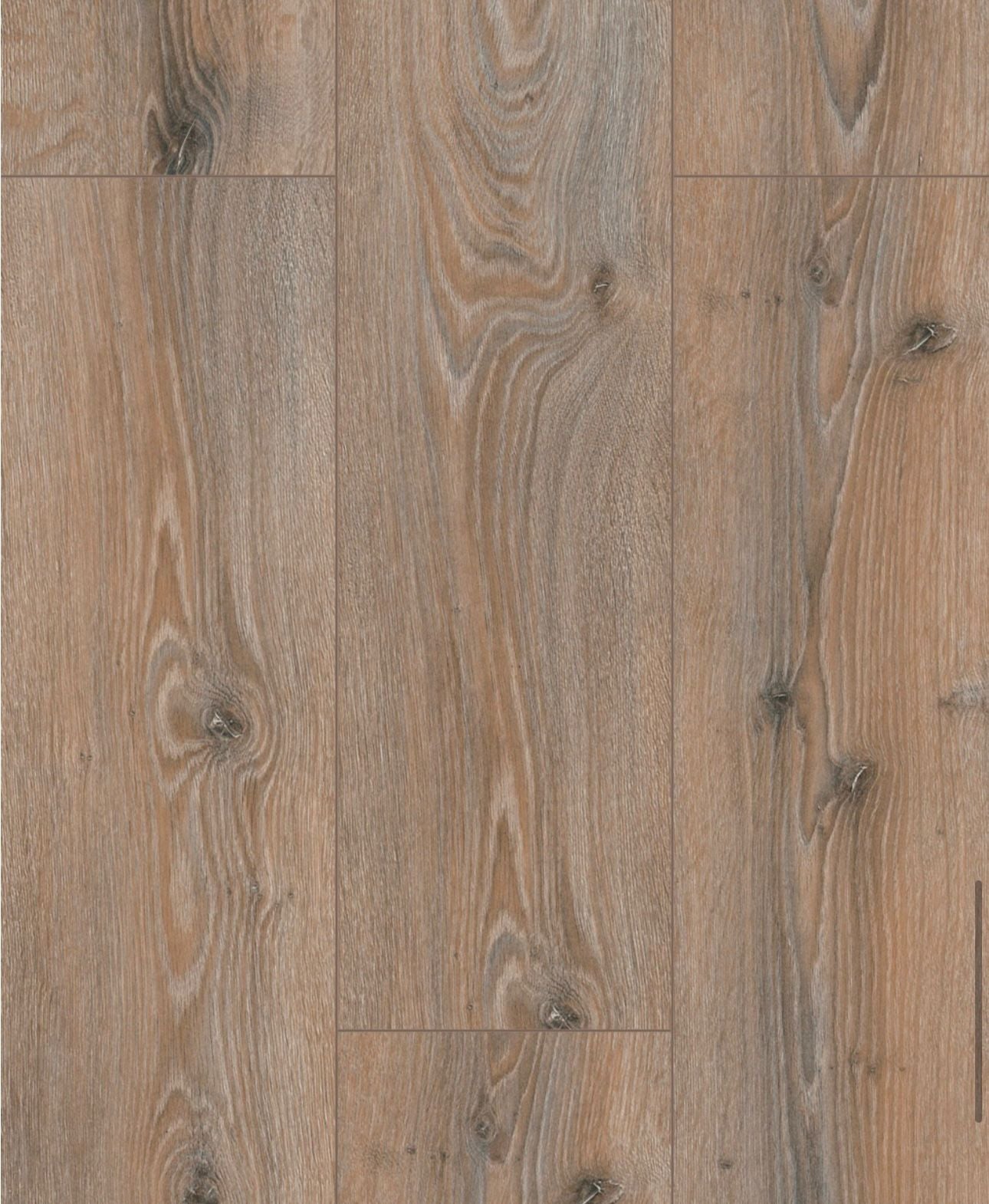 8MM Laminate Flooring Normandy