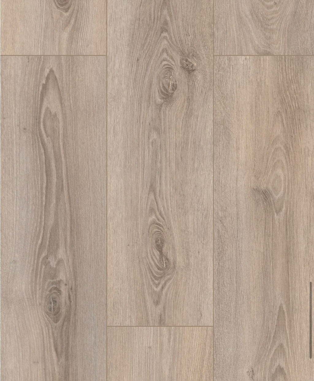 Prime- 8mm Laminate Flooring-Erasmus