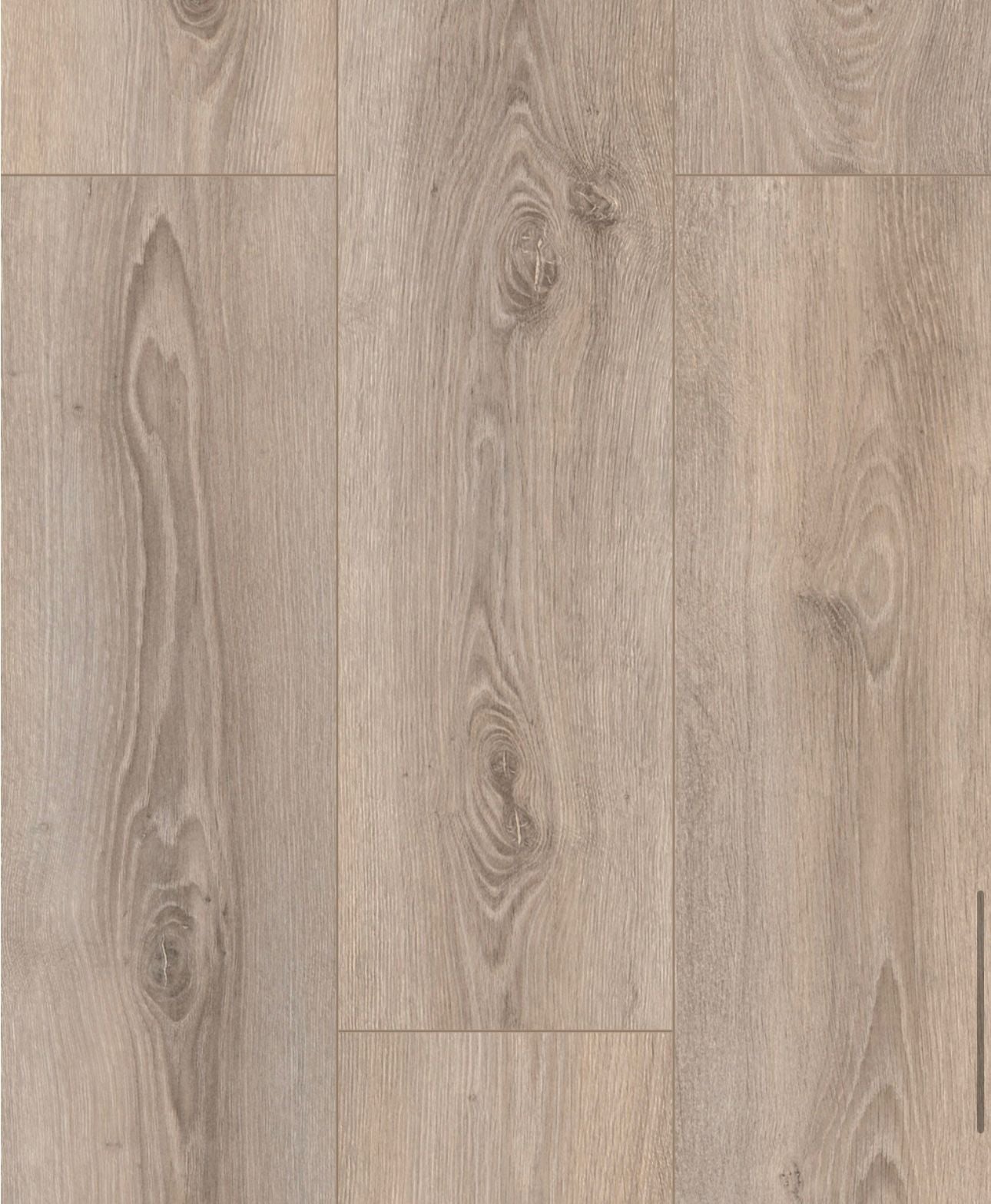 Prime- 8mm Laminate Flooring-Erasmus