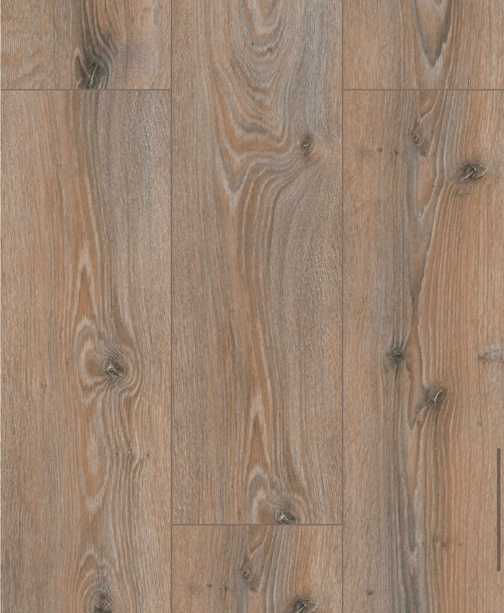 Prime- 8mm Laminate Flooring-Normandy